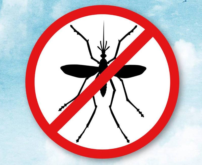 Disinfestazione adulticida contro le zanzare 