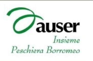 LOGO AUSER